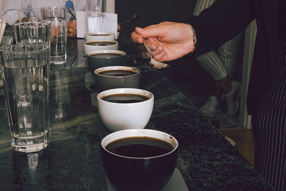 Pod and Parcel: Brewing a Coffee Symphony