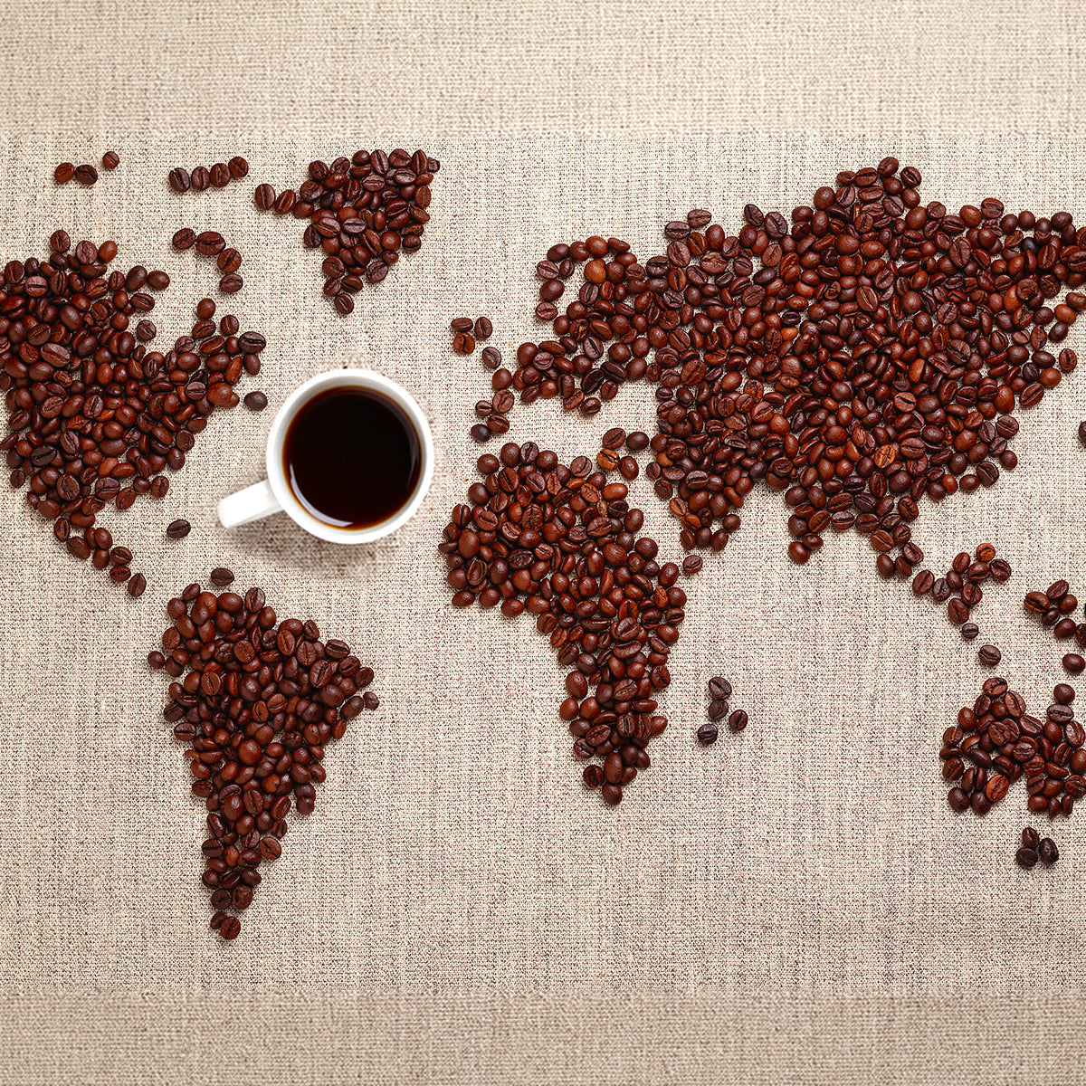 Single Origin: The Lowdown