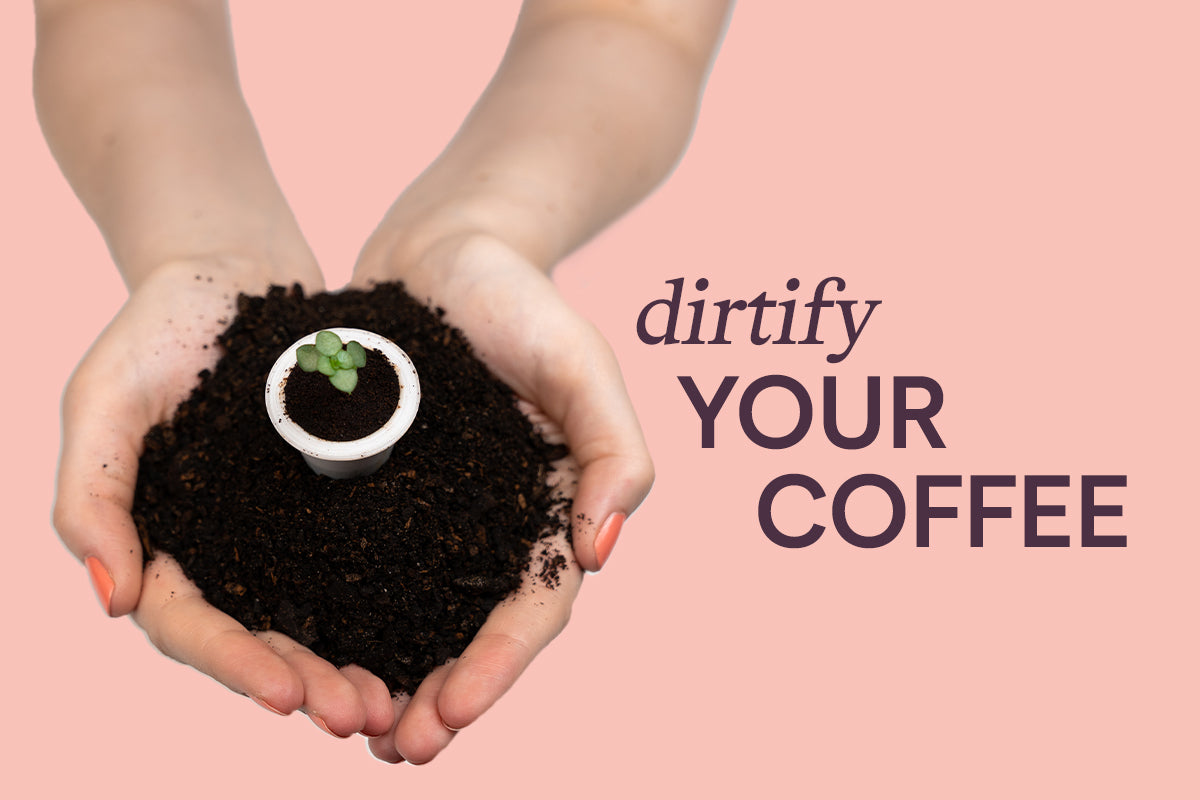 World Environment Day: How to Dirtify Your Coffee